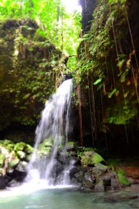 PHOTO OF THE DAY: Cascading waterfall