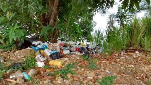 Call for more environmental laws in Dominica