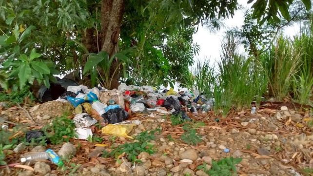 There are not enough laws in Dominica to protect the environment 