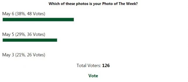 Photo of The Week poll