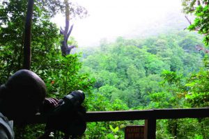 Exploring the wilds of enigmatic Dominica