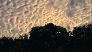 PHOTO OF THE DAY: Morning sky view