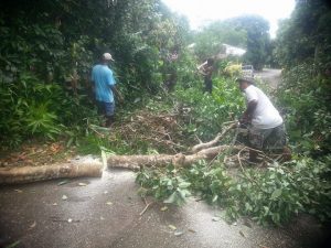 IN PICTURES: La Plaine gets ready for Hurricane Season