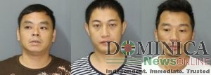 UPDATE: Chinese nationals get three years for theft