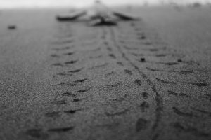 PHOTO OF THE DAY: “Footprints” in the sand