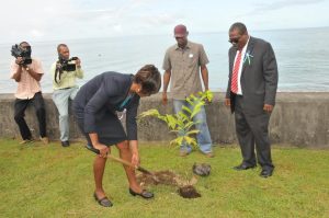 AID Bank embarks on tree planting project