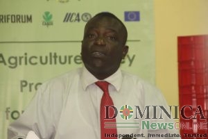 Gov’t considering initiative for Martinique market Drigo says