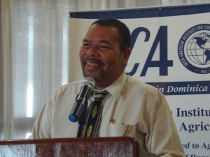 Agriculture PS says Dominica gets ‘bombardment’ of requests for agricultural produce