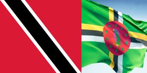 Trinidad Union demands accounting for vote against Dominica