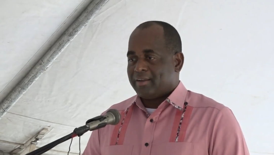 Duty free cruise village to be established in Dominica says PM Skerrit ...