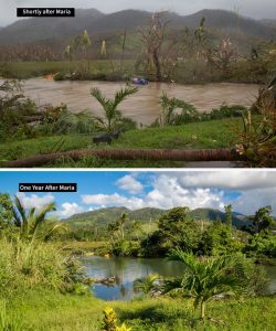 IN PICTURES: Before and after Hurricane Maria
