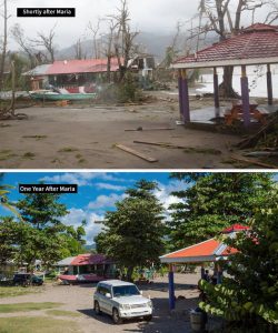 Finding the will and wherewithal – reflections one year after Hurricane Maria