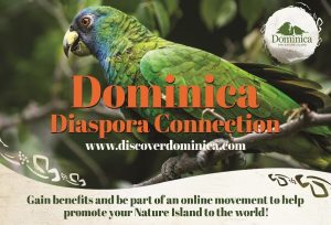 DDA launches Diaspora Initiatives