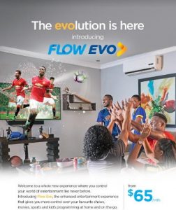 BUSINESS BYTE: Flow Evo puts customers in control