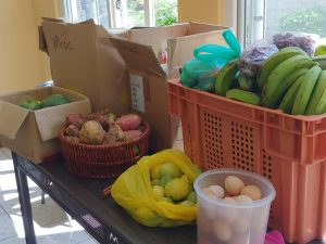Western District 4H Clubs host food drive for elderly