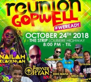 Preparation for Reunion Gopwell “on point” says organizer