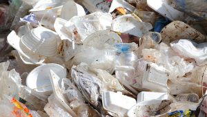 Govt to remove duties on biodegradable items
