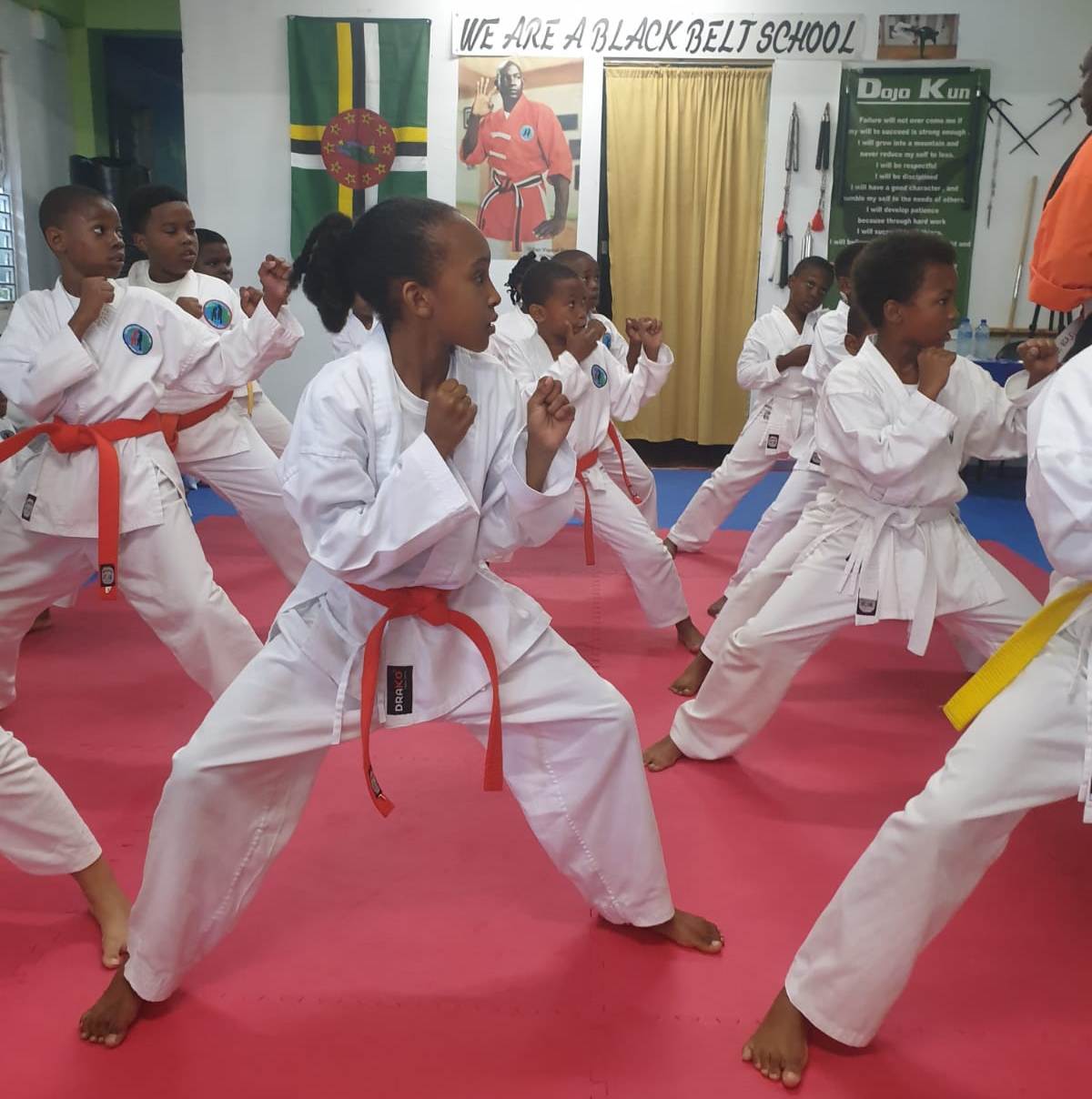 Dominican Martial Arts Academy holds successful grading