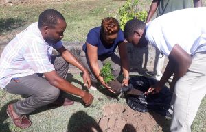 Ministries of Tourism and Agriculture promote tree planting