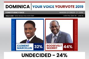 CAPA ELECTION POLL: Results for the Vieille Case constituency