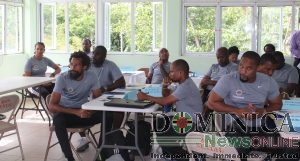 DFA official urges local coaches to get fully qualified