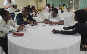 Student governance workshop for Dominica youth deemed successful