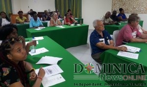DDA presents voluntourism strategic plan to stakeholders
