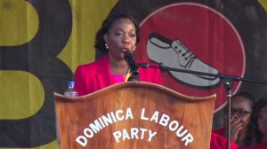 DLP candidate lays out her plans for St. Joseph constituency