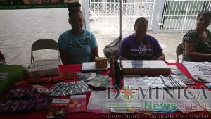 Local vendors assess sales at Creole in the Park this year