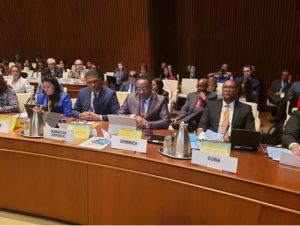 Darroux expresses support for PAHO plan to address health inequality
