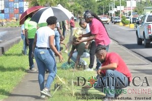 Public urged to participate in ‘one million tree campaign’