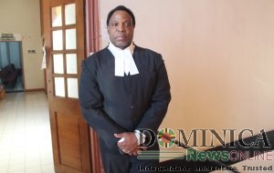 Castle Bruce man acquitted of murder but found guilty of man slaughter