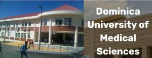 DSC students explore study opportunities at Dominica University of Medical Sciences