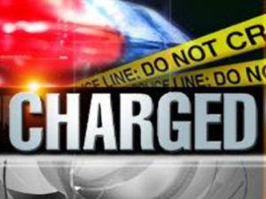 Castle Castle Bruce man charged with dangerous driving in fatal Pottersville accident