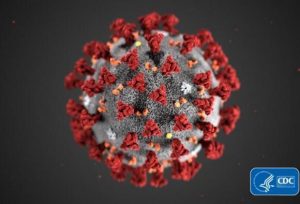 Martinique confirms first cases of Coronavirus