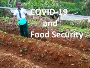 COVID-19: Dominica puts food security committee in place