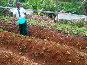 Junior Achievement Dominica Grow Project well underway across Dominica