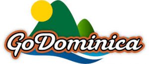 GoDominica launches GoDominica Shop – online orders with contactless delivery