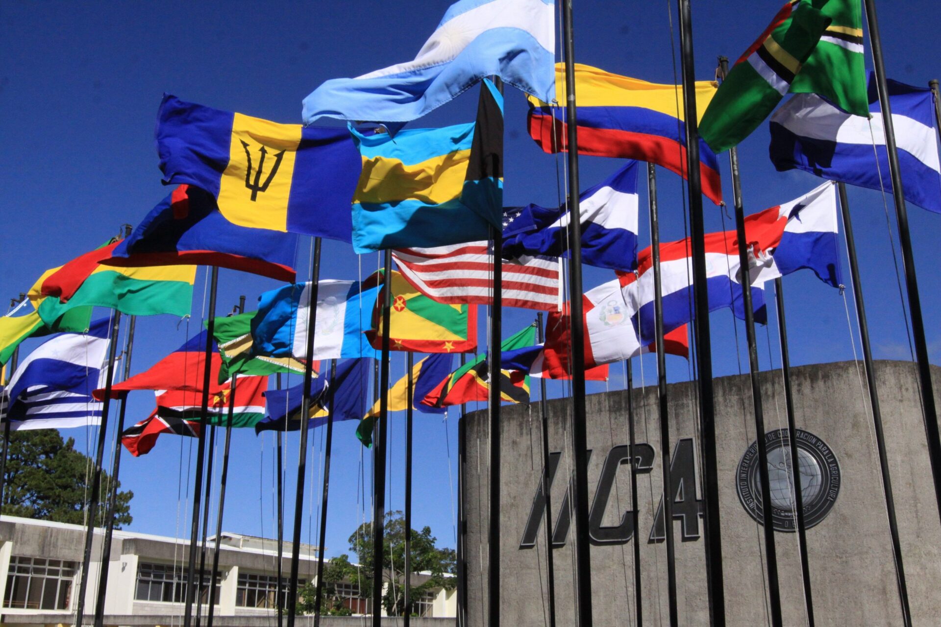 IICA establishes Advisory Council for Food Security in the Americas