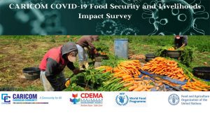 CARICOM COVID-19 Food Security and Livelihoods Impact Survey