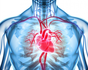Don’t delay treatment for heart attack because of COVID Fear