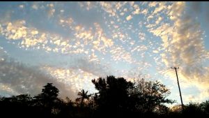 VIDEO: Altocumulus clouds in the morning sky