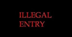 Two Dominicans arrested for illegal entry
