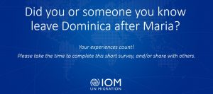 IOM SURVEY: A Review of Post Hurricane Maria Migration