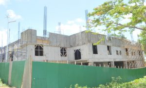 ‘Massive’ Marigot hospital will address district’s health needs – PM Skerrit