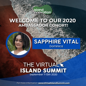 Virtual Island Summit: Island ambassador from Dominica connecting with global island network