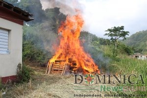Police destroy large quantity of drug exhibits