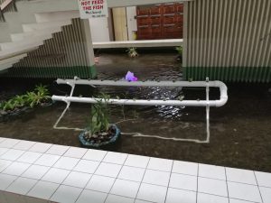 Aquaculture & aquaponics systems becoming mainstream