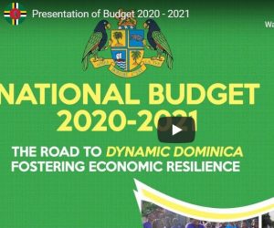LIVE: National Budget address for 2020-2021