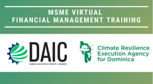 DAIC & CREAD provide virtual financial management training to MSMEs